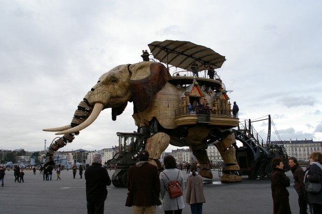 Image illustrant l'article. Photo de l'éléphant vu de près, à l'extérieur, avec des personnes dessus et devant.